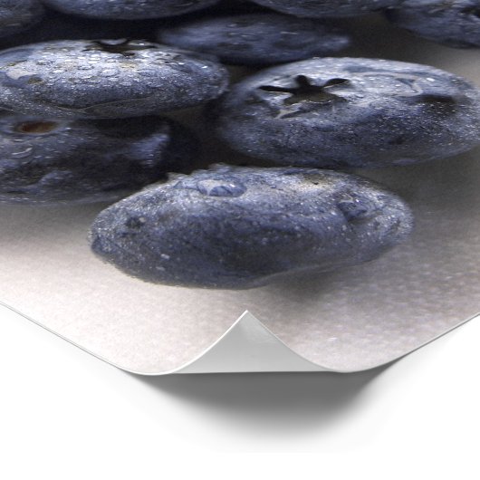 Poster Blueberries 2 (Coin)