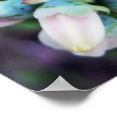 Poster Blueberries en floraison (Coin)