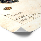 Poster - Blueberries Par James Shull (Coin)