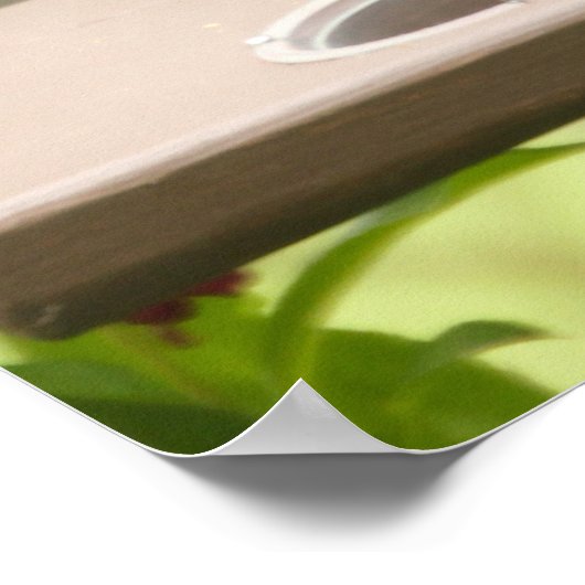 Poster Bluebird (Coin)