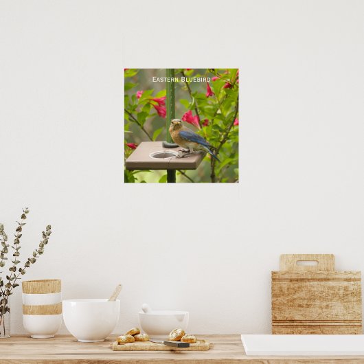 Poster Bluebird (Cuisine)