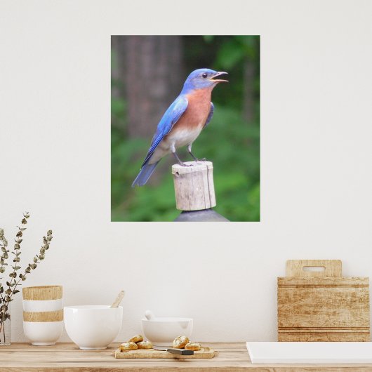 Poster Bluebird (Cuisine)