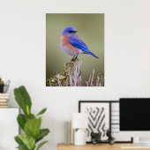 Poster Bluebird (Bureau à domicile)