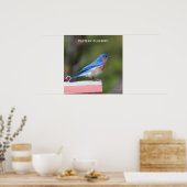 Poster Bluebird (Cuisine)