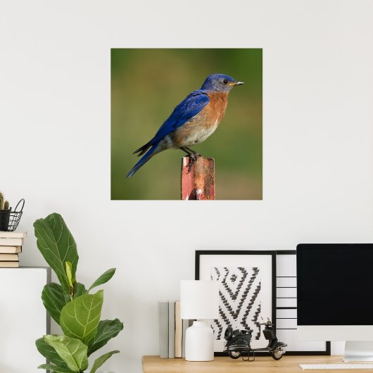 Poster Bluebird (Bureau à domicile)