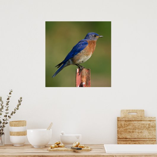 Poster Bluebird (Cuisine)