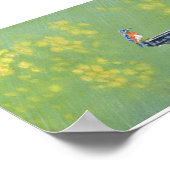 Poster Bluebird dans la pluie (Coin)