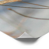 Poster Bluebird d'hiver (Coin)