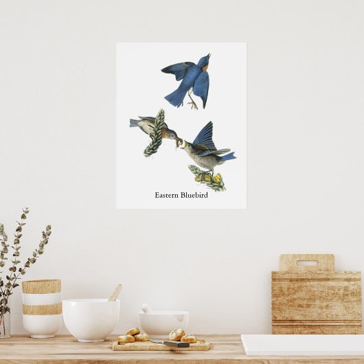 Poster Bluebird, John Audubon (Cuisine)