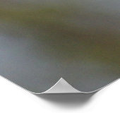 Poster Bluebird sur le billet (Coin)
