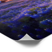 Poster Bluebonnet Field au coucher du soleil avec vieille (Coin)