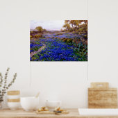 Poster Bluebonnets à Twilight, au nord de San Antonio (Cuisine)