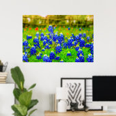 Poster Bluebonnets de Texas Rustic Blue Fleurs sauvages (Bureau à domicile)