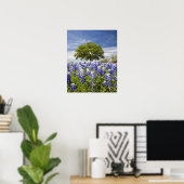 Poster Bluebonnets du Texas (lupinus texensis) et chêne (Bureau à domicile)