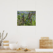 Poster Bluebonnets et phlox porte du cimetière environnan (Cuisine)