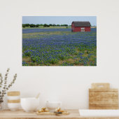 Poster Bluebonnets et une grange rouge (Cuisine)