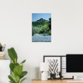 Poster Bluebonnets, Llano, Texas, États-Unis (Bureau à domicile)