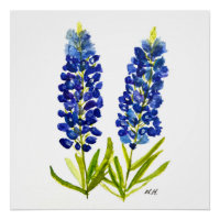 Bluebonnets Texas State Flowers Lupine Watercolor