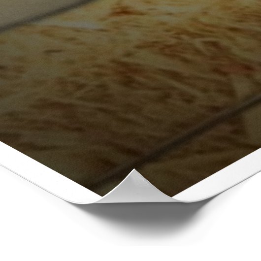 Poster Bluegrass (Coin)