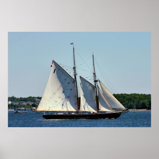 Poster Bluenose II Schooner (Devant)