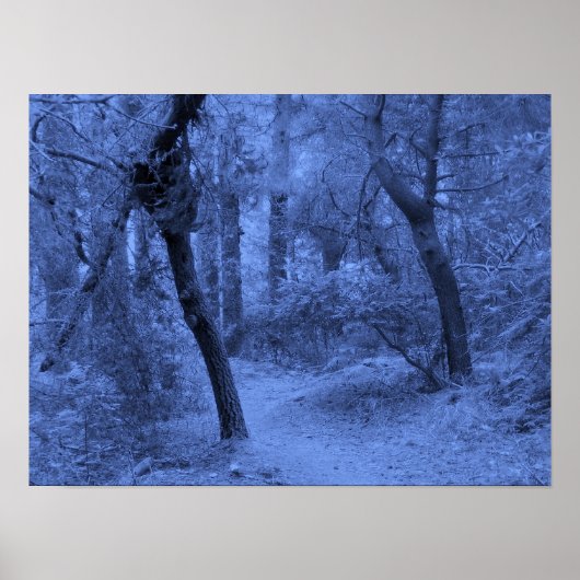 Poster Blues de forêt (Devant)