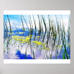 Poster Blues et Grass