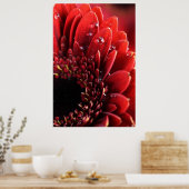 Poster Blume (Cuisine)