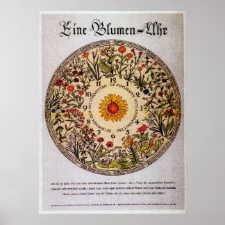 Poster Blumenuhr Horloge à fleurs 2 Art Vintage