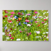 Poster Blumenwiese (Devant)
