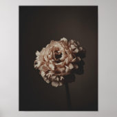 Poster Blush Bouquet Study (Devant)