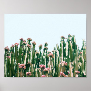 Poster Blush Cactus