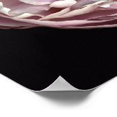 Poster Blush Peony (Coin)