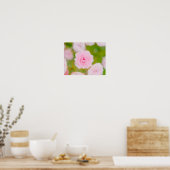 Poster Blushing Petals (Cuisine)