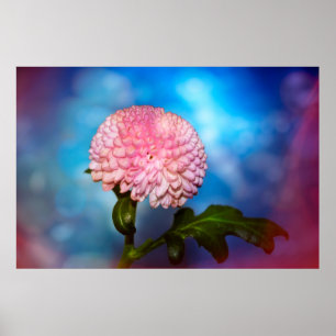 Poster Blütenzauber