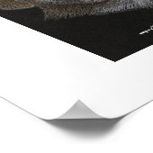 Poster Bo & Sissy (Coin)