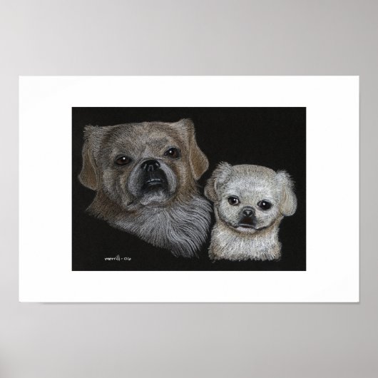 Poster Bo & Sissy (Devant)