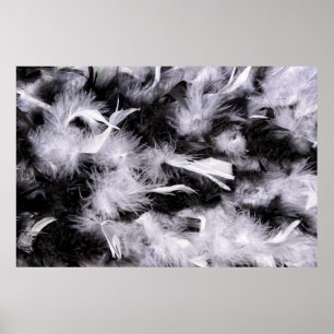 Poster Boa à plumes de couleurs noir et blanc
