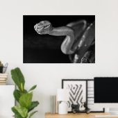 Poster Boa d'arbre noir et blanc (Bureau à domicile)