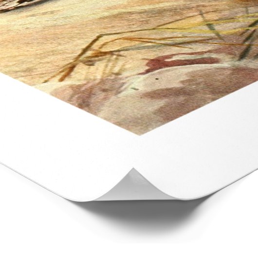 Poster Boa malgache (Coin)