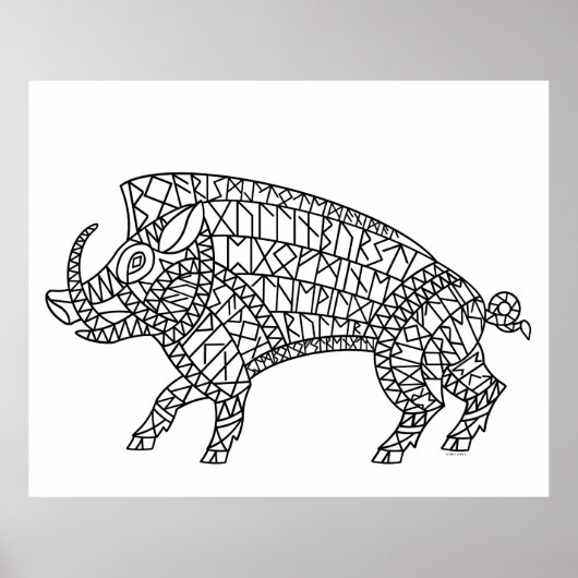 Poster Boar sauvage avec Runes (Devant)