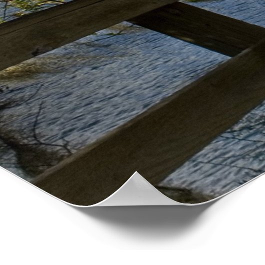 Poster Boardwalk de Suwannee River (Coin)