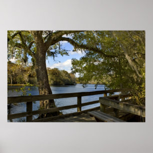 Poster Boardwalk de Suwannee River