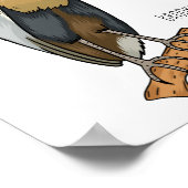 Poster Boat-billed heron bird cartoon (Coin)