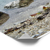 Poster Boathouse Lake Dock (Coin)