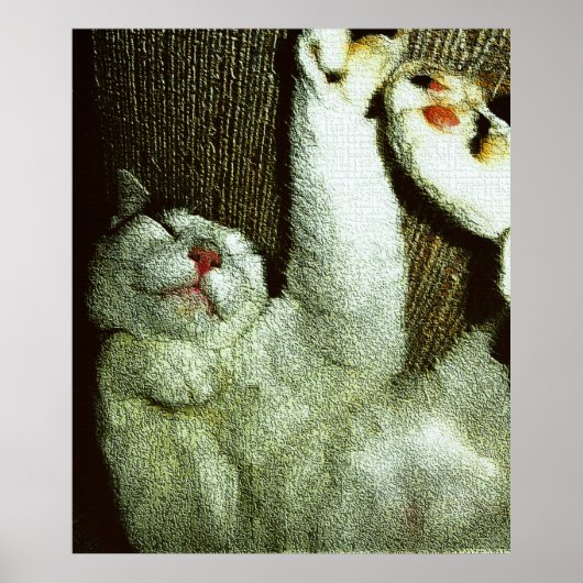 Poster Bob faisant une sieste (Devant)