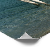 Poster Bob Langrish | Arabe gris debout Dans La Mer (Coin)