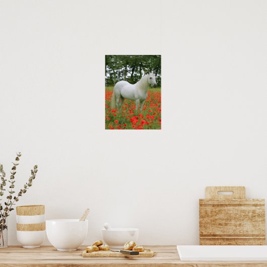 Poster Bob Langrish | Arabe gris debout En Fleurs Rouges (Cuisine)
