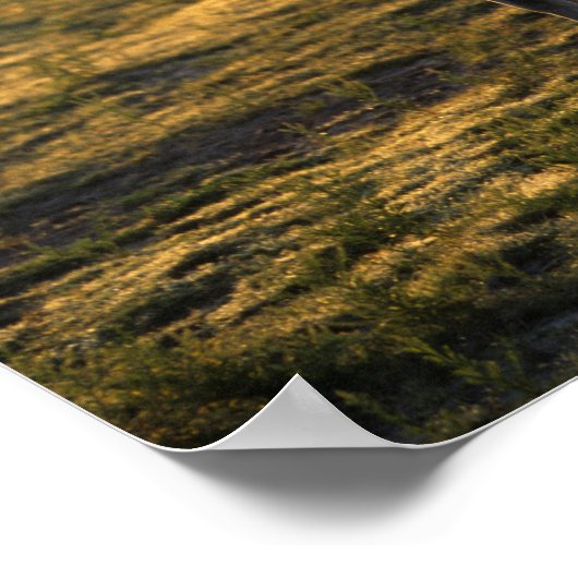 Poster Bob Langrish | Arrière-lit debout (Coin)