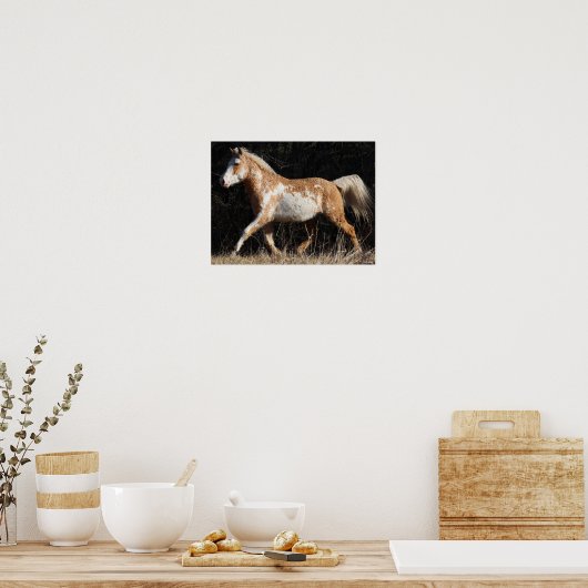 Poster Bob Langrish Bashkir Curly Horse Stallion Marcher (Cuisine)