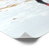 Poster Bob Langrish | Bay Arab Horse Running In Snow (Coin)